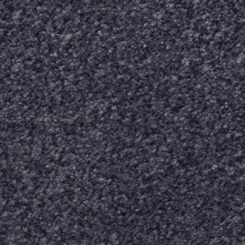 Dark gray stone carpet with granular texture