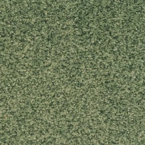 Green stone carpet with mottled granular texture