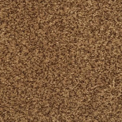 Medium brown stone carpet with dense speckled pattern
