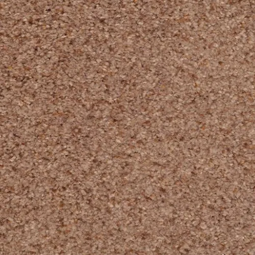 Reddish-brown stone carpet with fine speckled texture