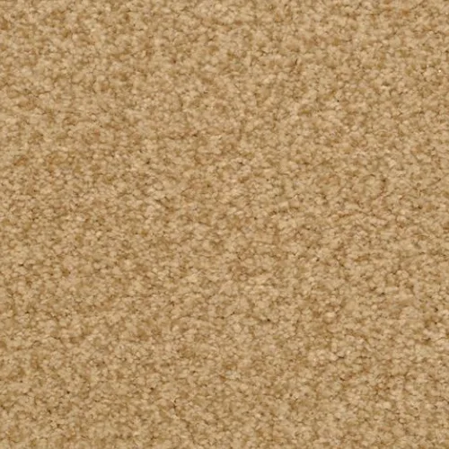 Sandy beige stone carpet with fine grain texture